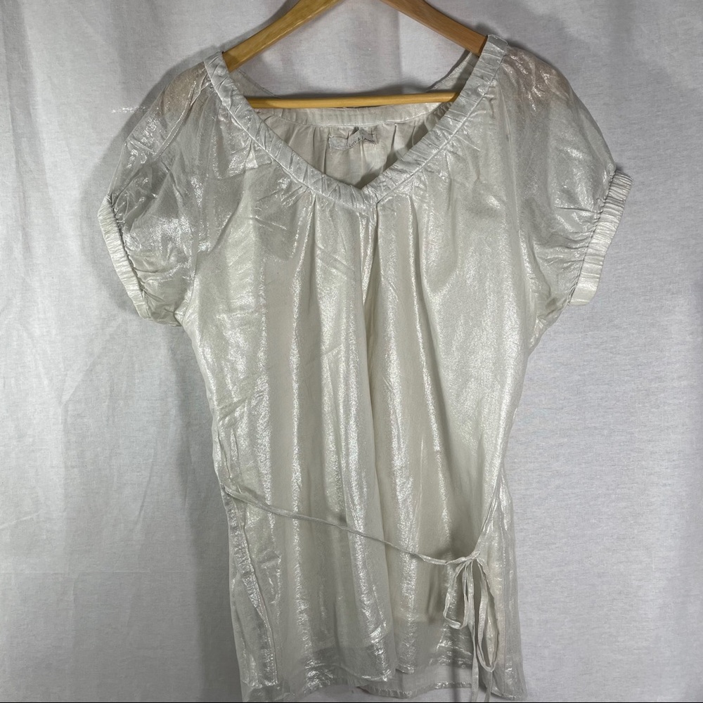 Lucy & Laurel silver blouse linen sheer